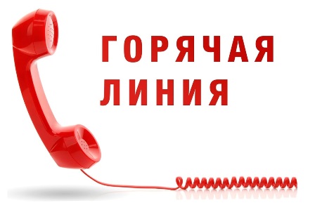 В Министерстве образования СО открыта «горячая линия» по вопросам документационной нагрузки на педагогических работников.